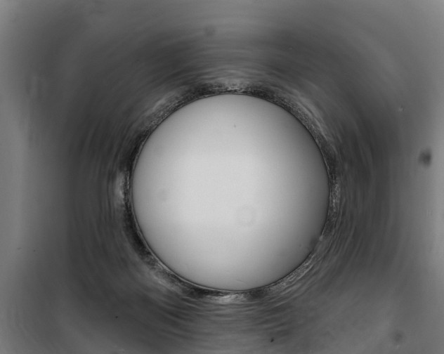 X0000100840122200806200747