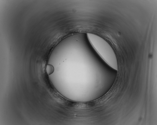 X0000100840123200806200747