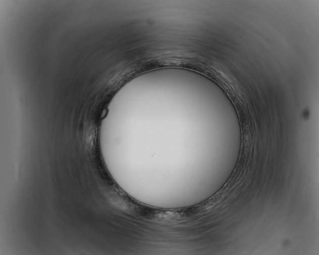 X0000100840125200806200747