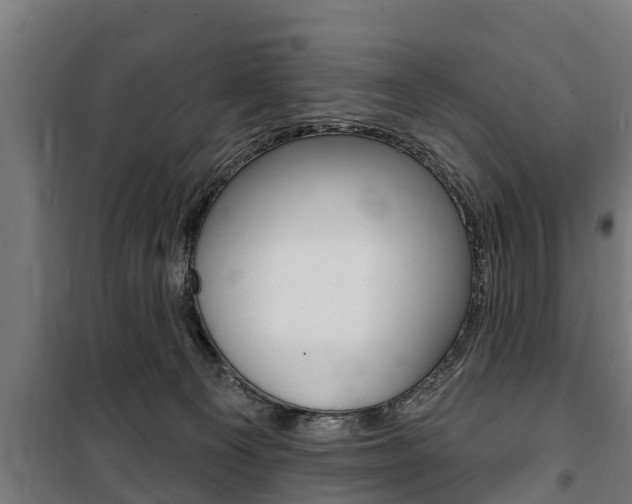 X0000100840129200806200747