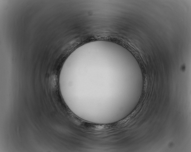 X0000100840130200806200747