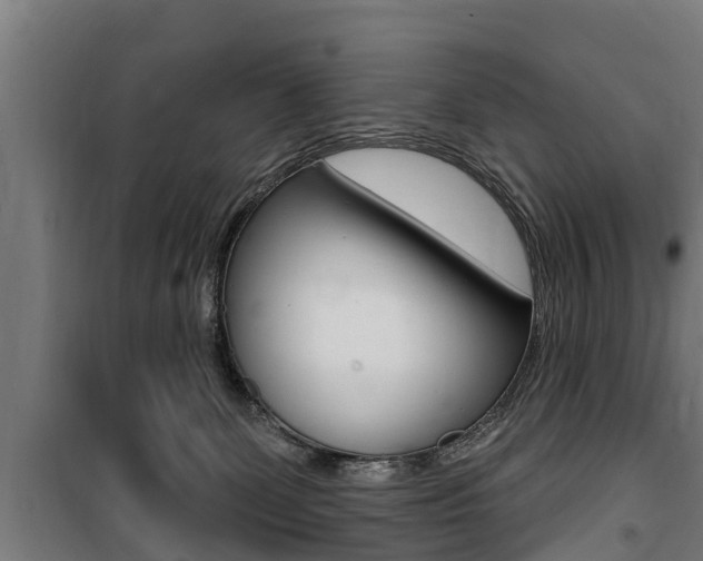 X0000100840131200806200747