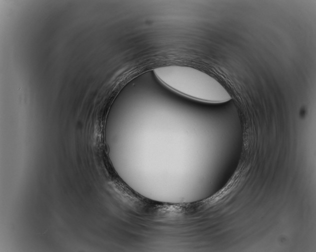 X0000100840140200806200747