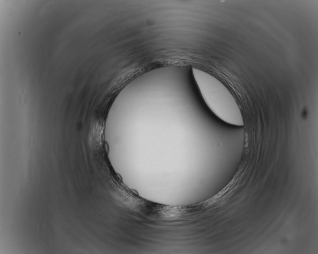 X0000100840142200806200747