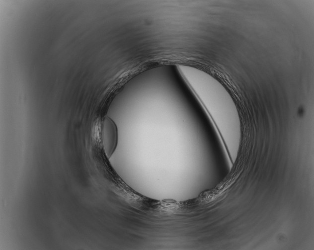 X0000100840143200806200747