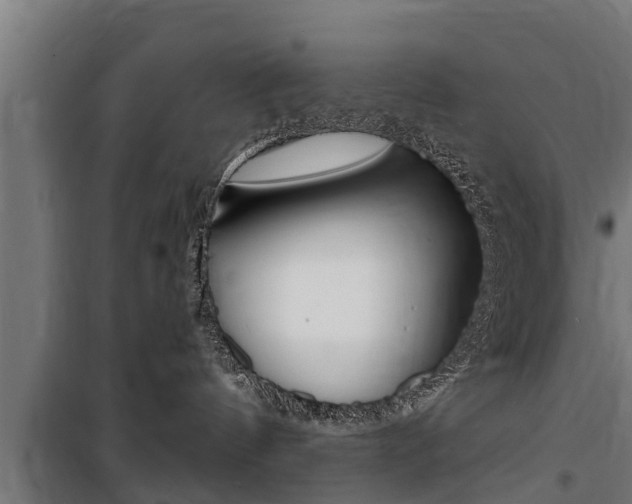 X0000100840144200806200747