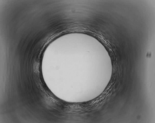 X0000100840146200806200746