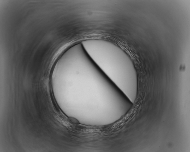 X0000100840147200806200746