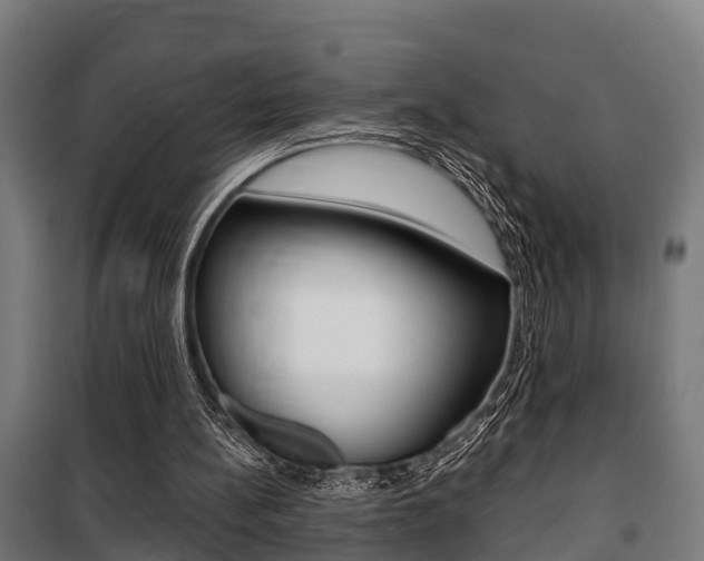 X0000100840148200806200746