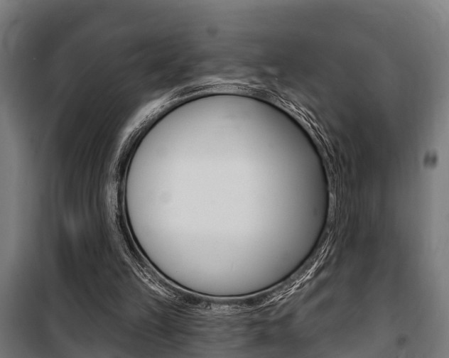 X0000100840149200806200746