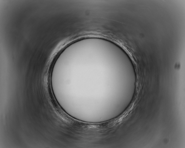 X0000100840151200806200746