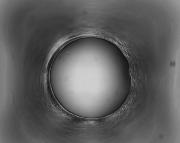 X0000100840152200806200746