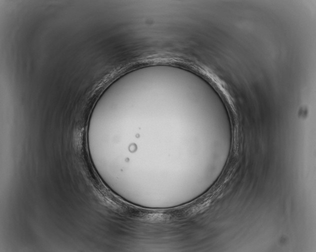 X0000100840153200806200746