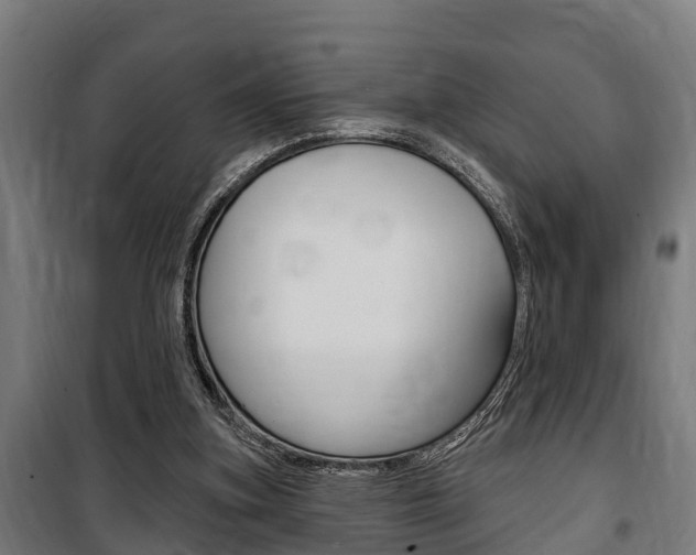 X0000100840155200806200746