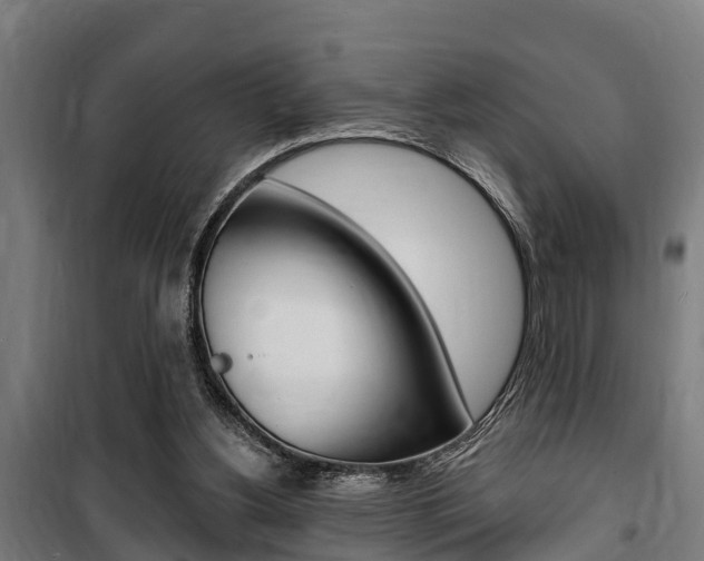 X0000100840156200806200746