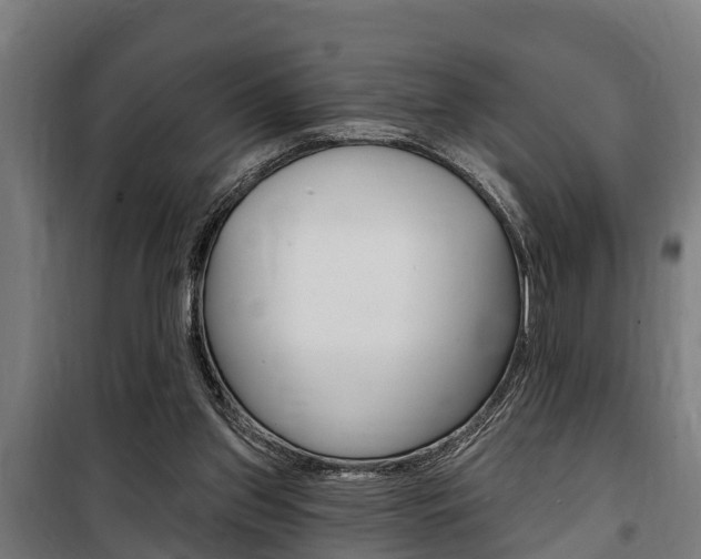 X0000100840157200806200746