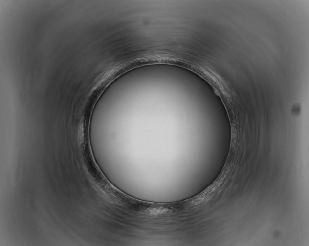 X0000100840158200806200746