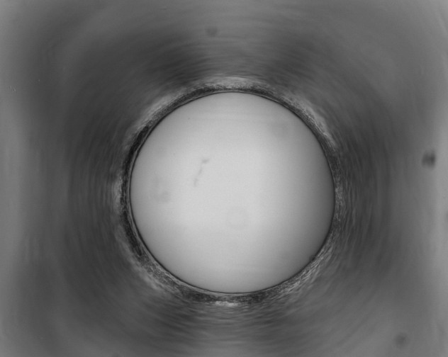 X0000100840159200806200746