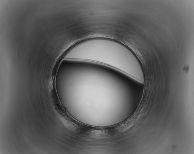 X0000100840160200806200746