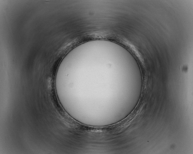 X0000100840161200806200746