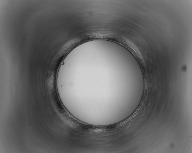 X0000100840163200806200746