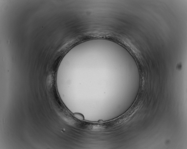 X0000100840165200806200746