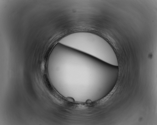 X0000100840166200806200746