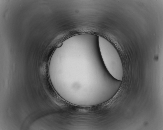 X0000100840167200806200746