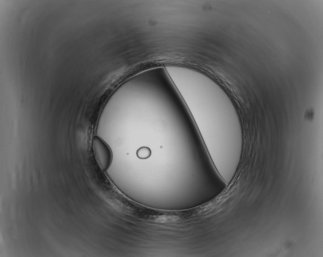 X0000100840168200806200746