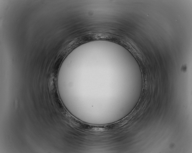 X0000100840169200806200746