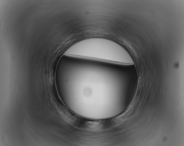 X0000100840170200806200746