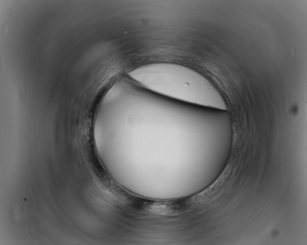 X0000100840171200806200746