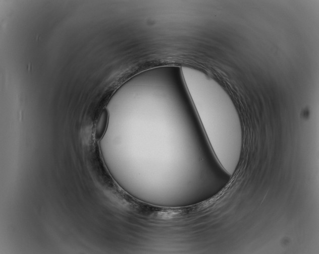 X0000100840172200806200746