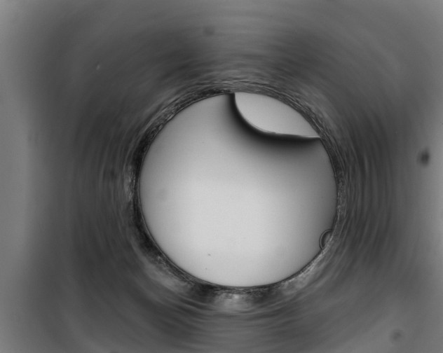 X0000100840174200806200746