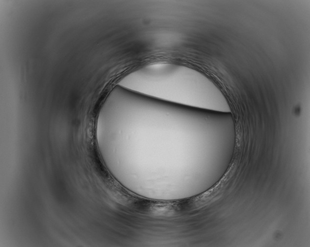 X0000100840175200806200746