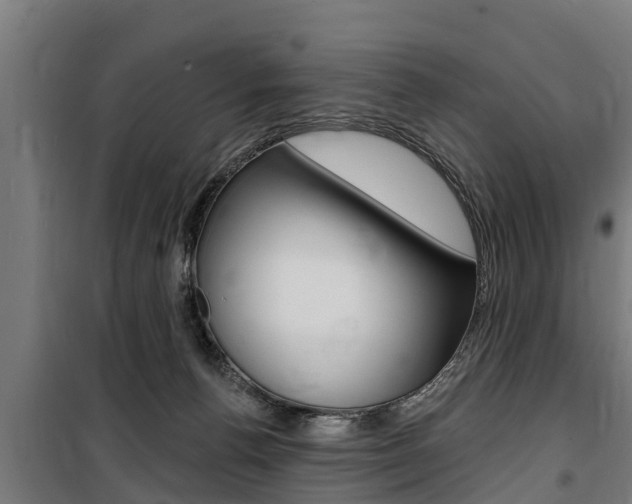 X0000100840176200806200747