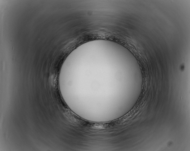 X0000100840177200806200747