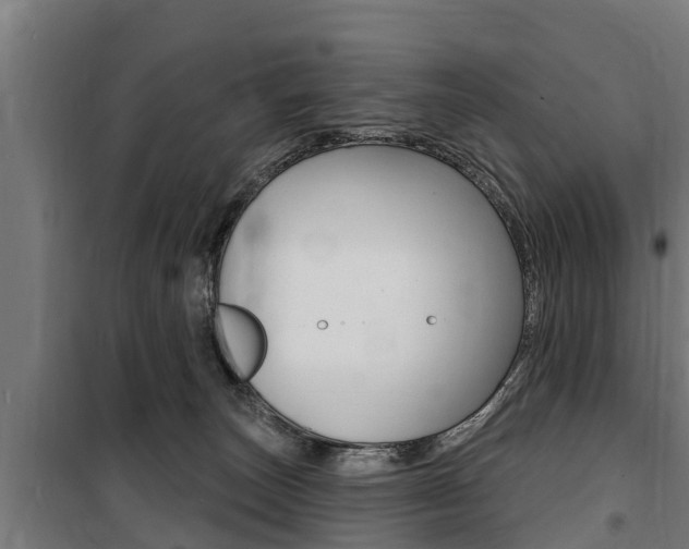 X0000100840179200806200747