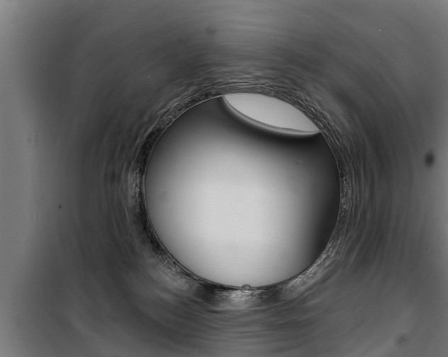 X0000100840184200806200747