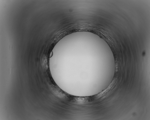 X0000100840187200806200747