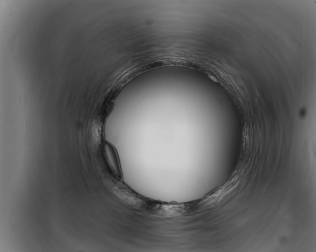 X0000100840188200806200747