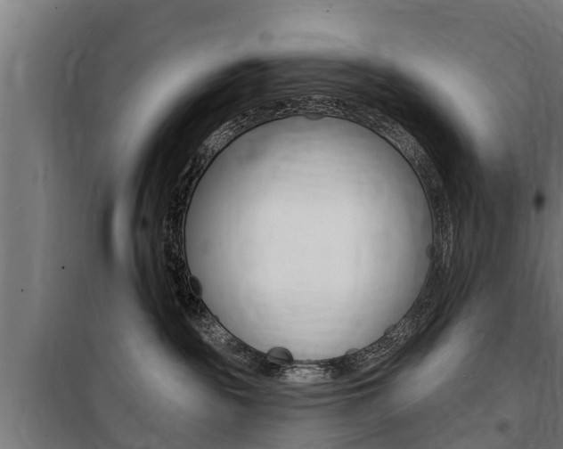 X0000100840189200806200747