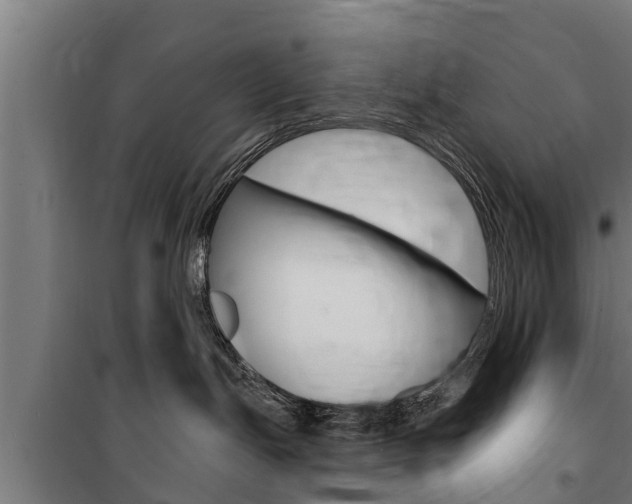 X0000100840191200806200747