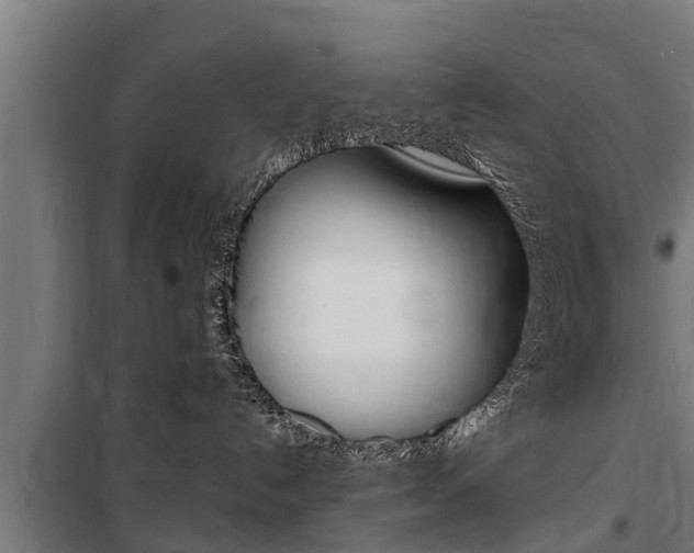 X0000100840192200806200747