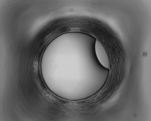 X0000100840194200806200746