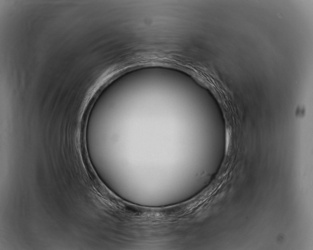 X0000100840195200806200746