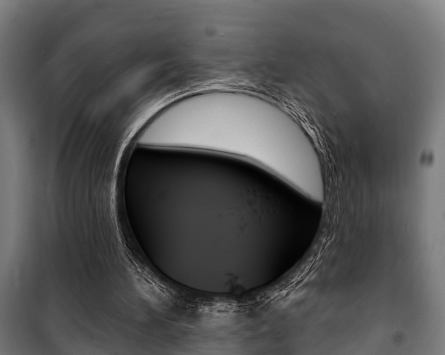 X0000100840196200806200746