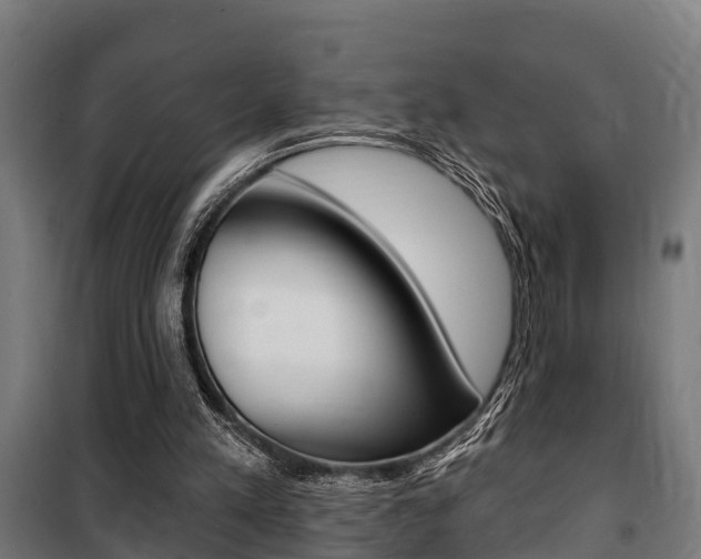 X0000100840197200806200746