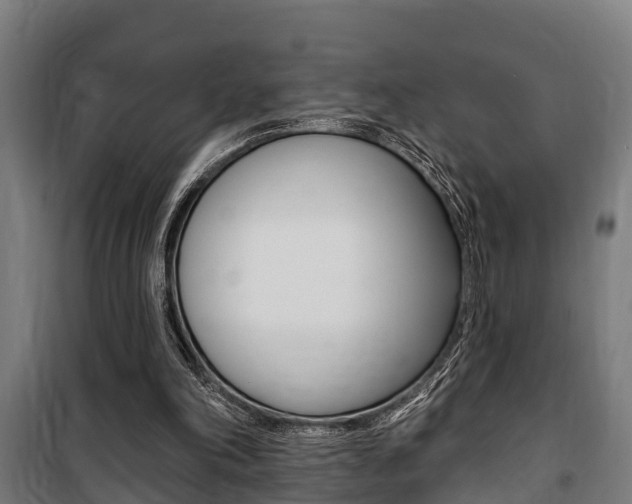 X0000100840198200806200746