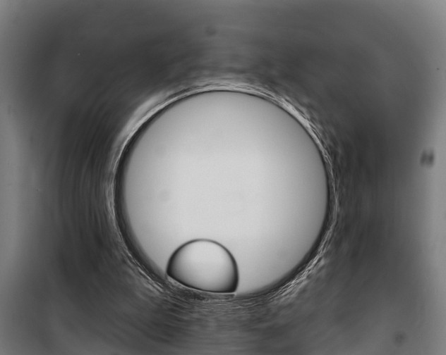 X0000100840199200806200746